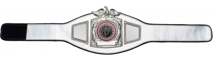 PROEAGLE WRESTLING CHAMPIONSHIP BELT - PROEAGLE/S/WRESTGEMS - 6+ COLOURS